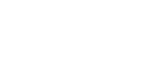 estadão logo
